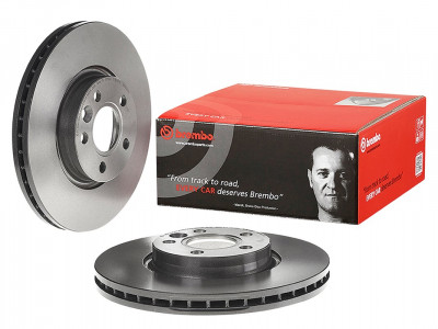 Brembo Discs