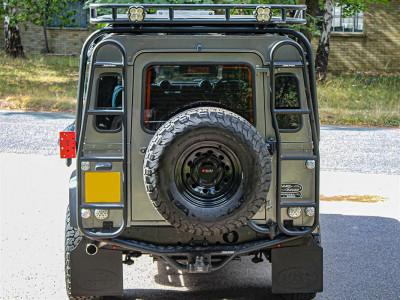 Roof access ladder