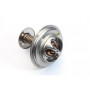 Thermostat 3.6 TDV8