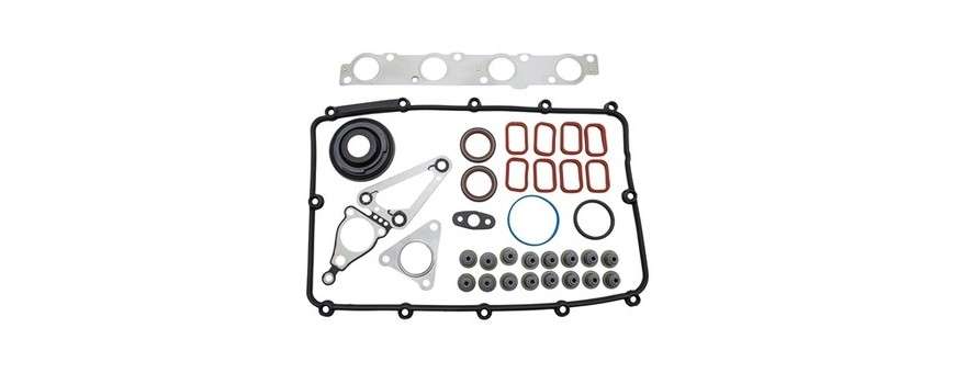 Kits haut Moteur Defender TD4 2.4 - 2.2